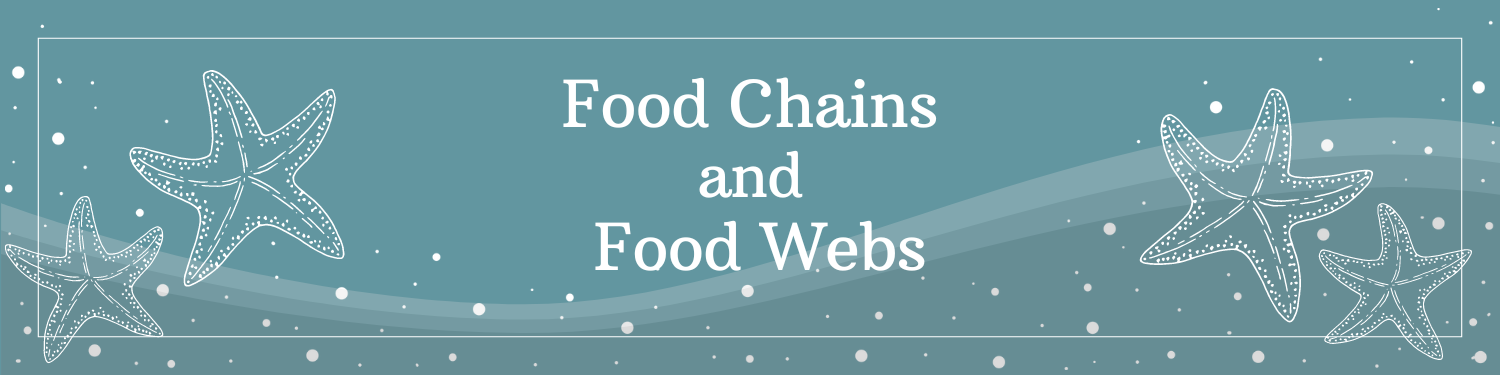 Unit 9: Food Chains and Food Webs Banner